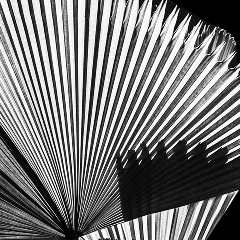 Shaded Radial